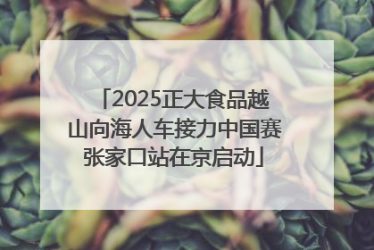 2025正大食品越山向海人车接力中国赛张家口站在京启动
